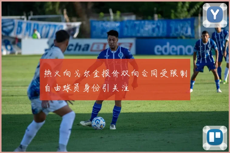热火向戈尔金报价双向合同受限制自由球员身份引关注